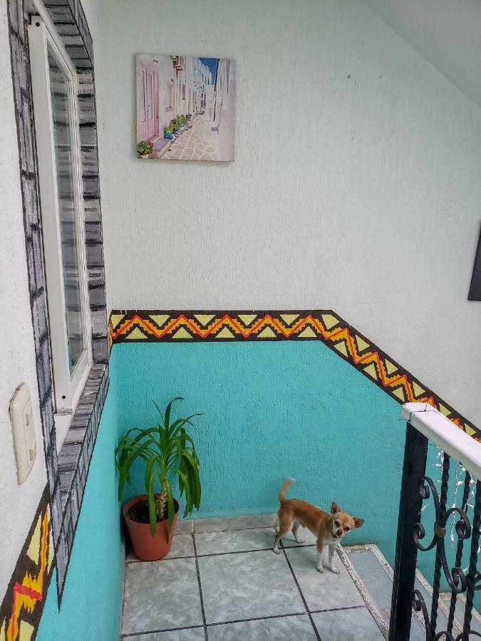 Posada Paso Del Sol إيسلا موخيريس المظهر الخارجي الصورة